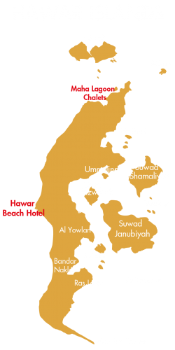 website map-02